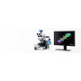 Прямой микроскоп ZEISS Axio Imager 2